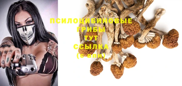 каннабис Баксан